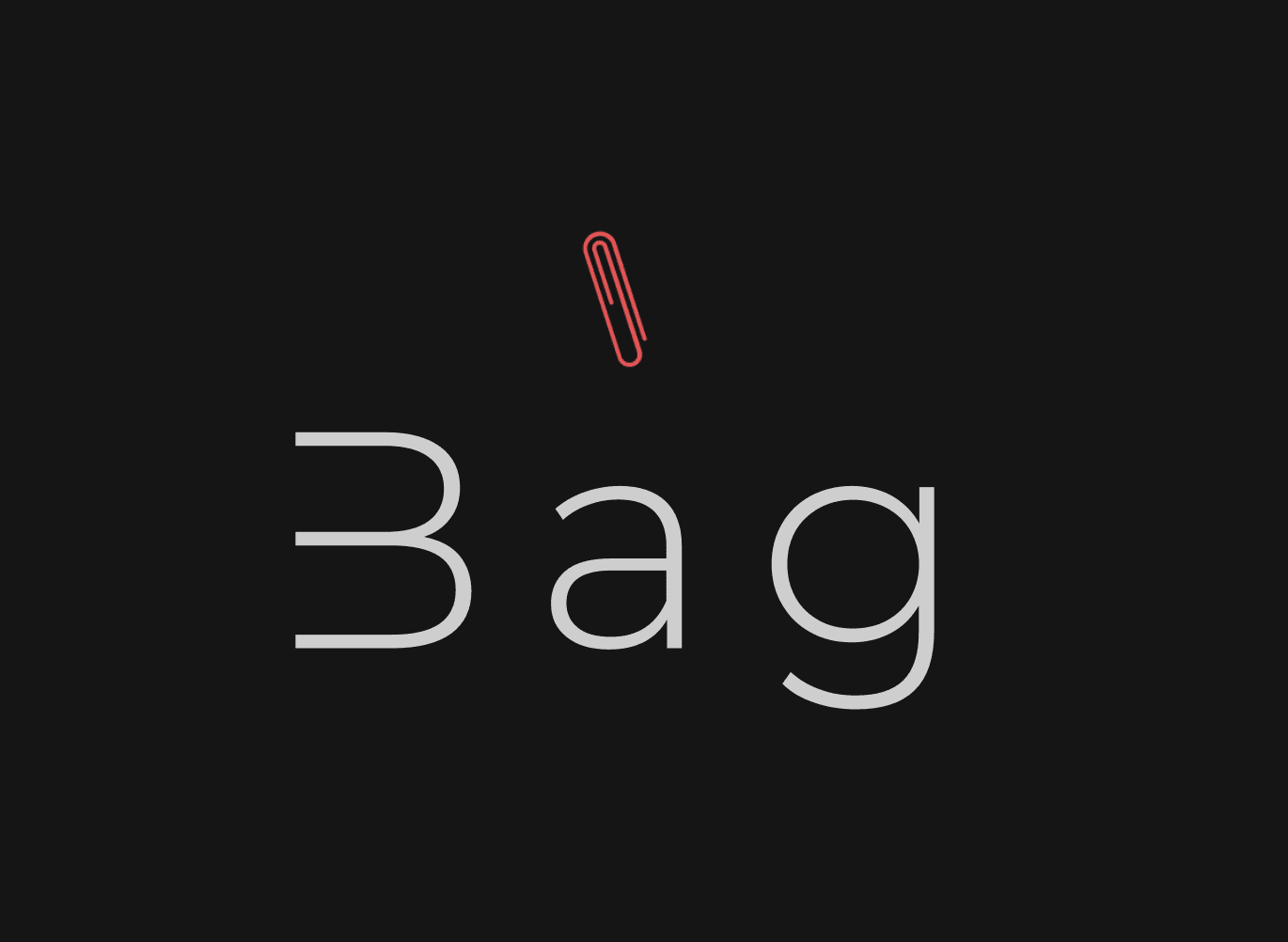Bag